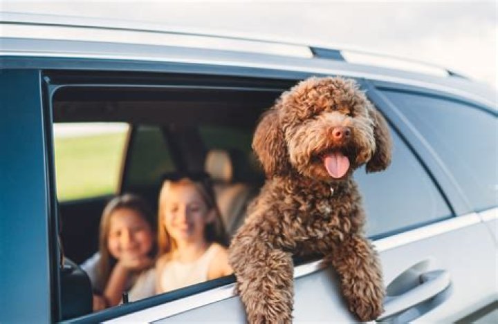 Conservative Dad's Car: The Ultimate Guide to Family-Friendly Vehicles